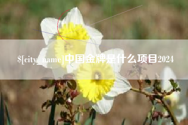 商水中国金牌是什么项目2024