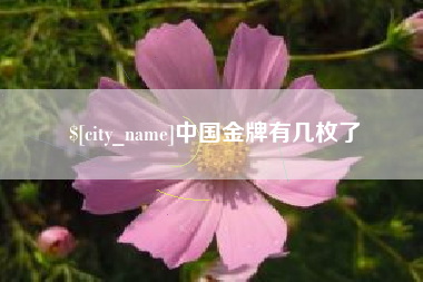 商水中国金牌有几枚了