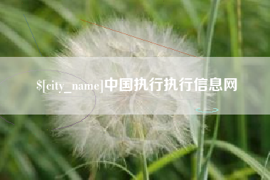 商水中国执行执行信息网