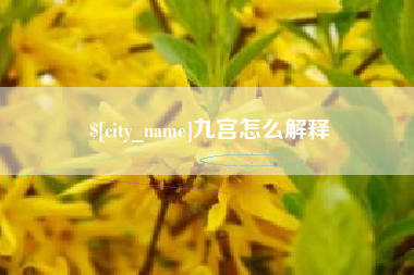 商水九宫怎么解释