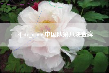 商水中国队第八块金牌