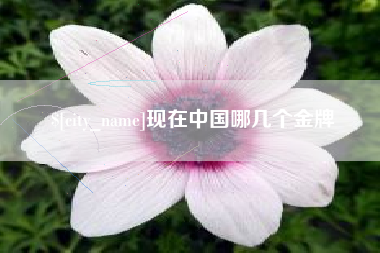 商水现在中国哪几个金牌
