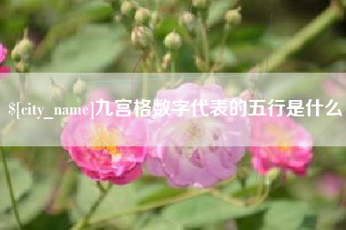 商水九宫格数字代表的五行是什么
