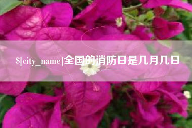 商水全国的消防日是几月几日