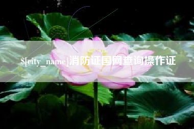 商水消防证国网查询操作证