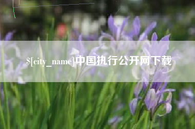商水中国执行公开网下载