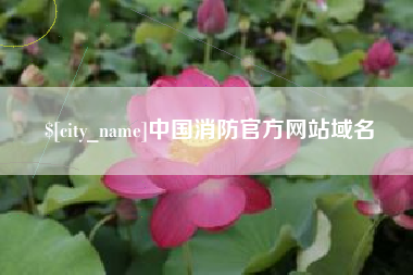 商水中国消防官方网站域名