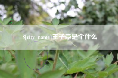 商水王子豪是个什么
