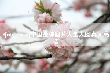 商水中国金牌图片大全大图真实高清