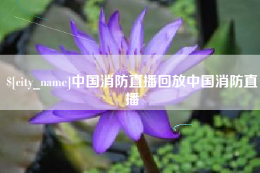 商水中国消防直播回放中国消防直播