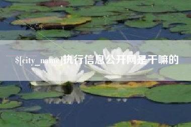 商水执行信息公开网是干嘛的