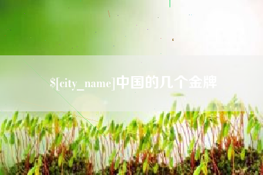商水中国的几个金牌