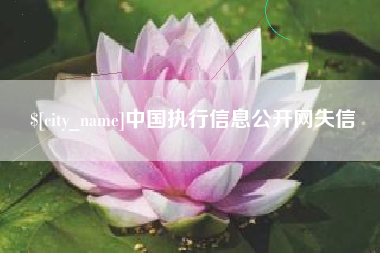 商水中国执行信息公开网失信