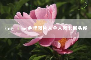 商水金牌图片大全大图卡通头像