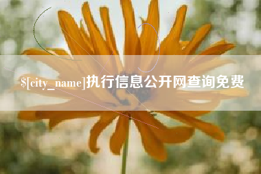 商水执行信息公开网查询免费