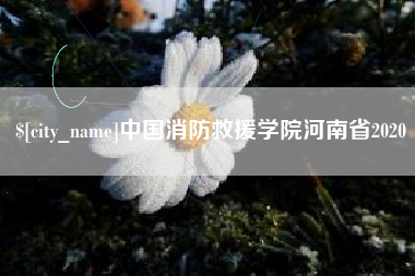 商水中国消防救援学院河南省2020